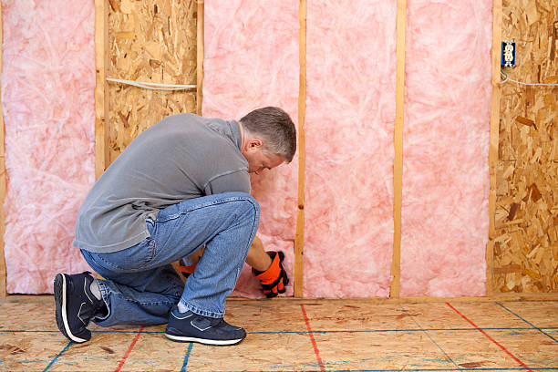 Best Eco-Friendly Insulation in North Highlands, CA